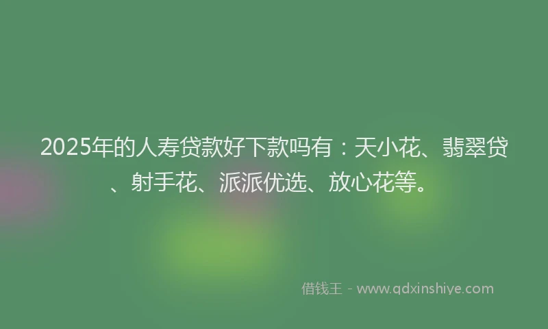 2025年的人寿贷款好下款吗有：天小花、翡翠贷、射手花、派派优选、放心花等。