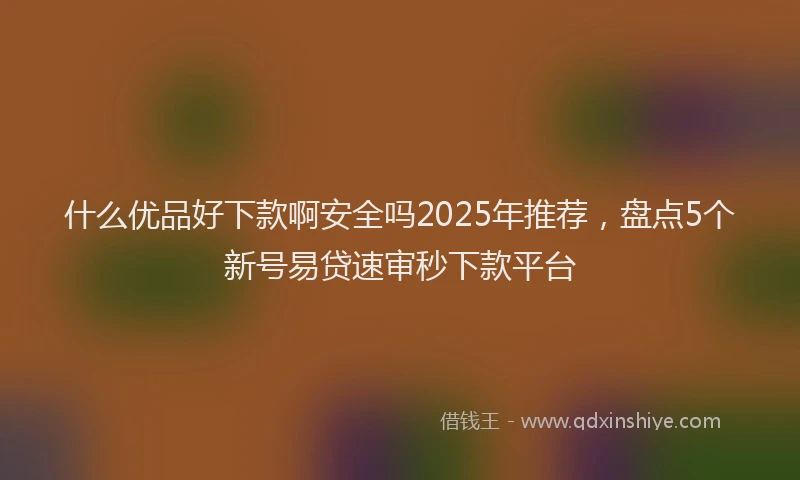 什么优品好下款啊安全吗2025年推荐，盘点5个新号易贷速审秒下款平台