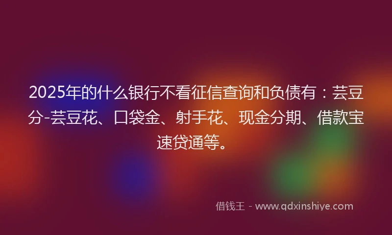 2025年的什么银行不看征信查询和负债有:芸豆分-芸豆花、口袋金、射手花、现金分期、借款宝速贷通等。