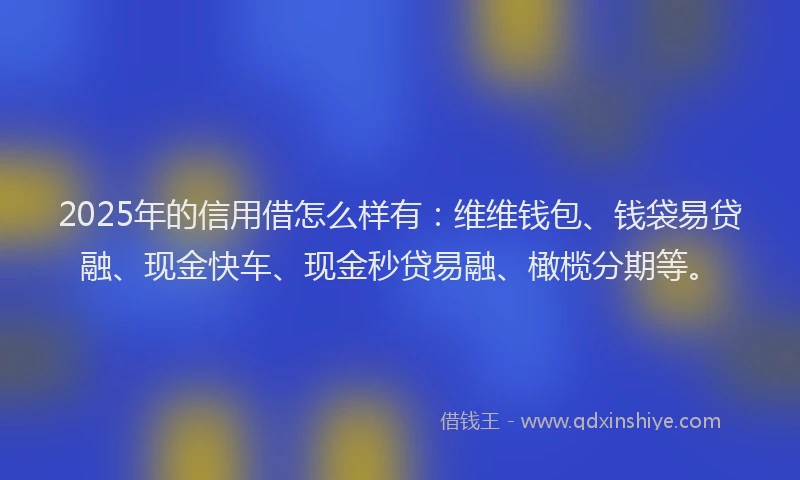 2025年的信用借怎么样有：维维钱包、钱袋易贷融、现金快车、现金秒贷易融、橄榄分期等。
