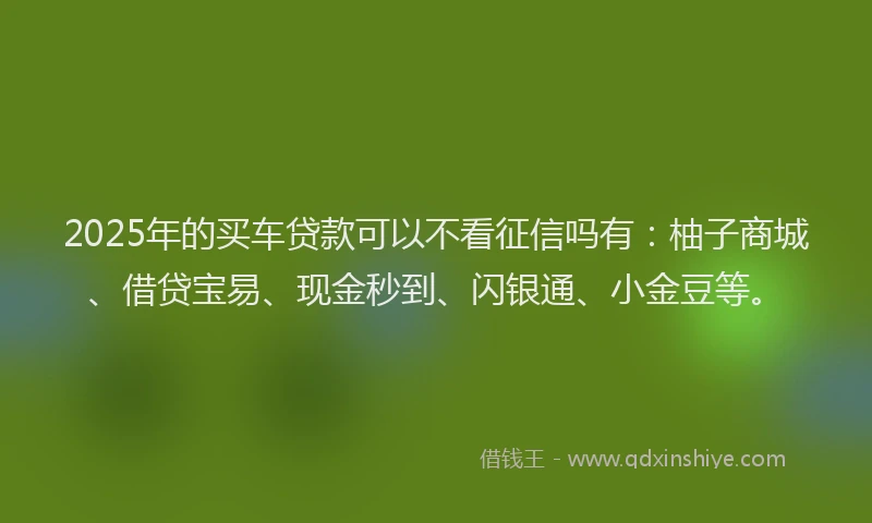 2025年的买车贷款可以不看征信吗有：柚子商城、借贷宝易、现金秒到、闪银通、小金豆等。