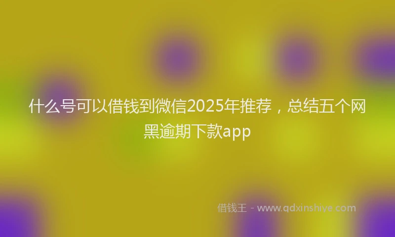 什么号可以借钱到微信2025年推荐,总结五个网黑逾期下款app