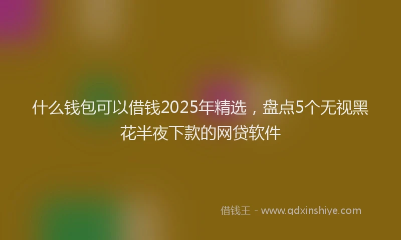 什么钱包可以借钱2025年精选，盘点5个无视黑花半夜下款的网贷软件