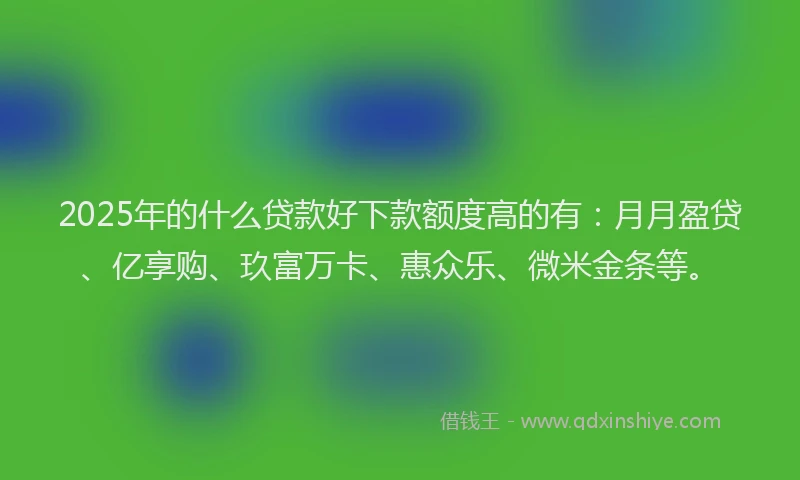 2025年的什么贷款好下款额度高的有：月月盈贷、亿享购、玖富万卡、惠众乐、微米金条等。