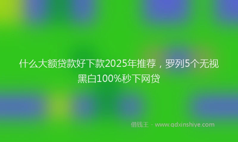 什么大额贷款好下款2025年推荐，罗列5个无视黑白100%秒下网贷
