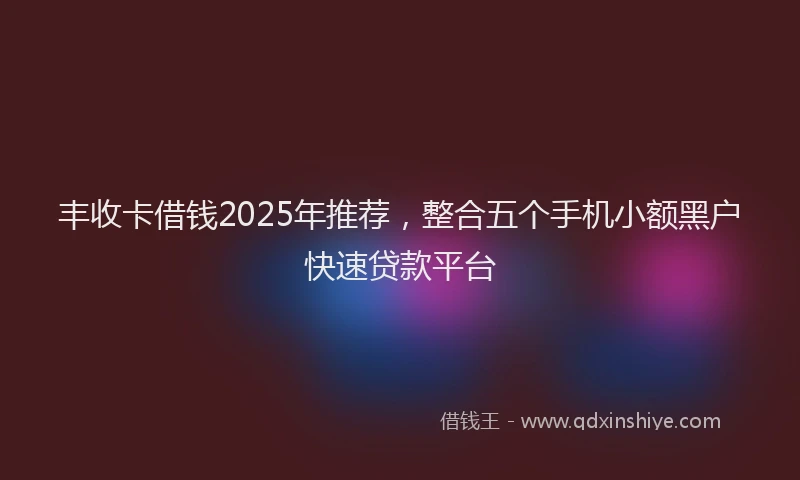 丰收卡借钱2025年推荐，整合五个手机小额黑户快速贷款平台