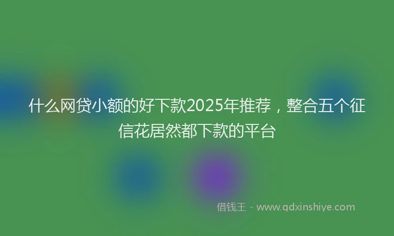 什么网贷小额的好下款2025年推荐，整合五个征信花居然都下款的平台