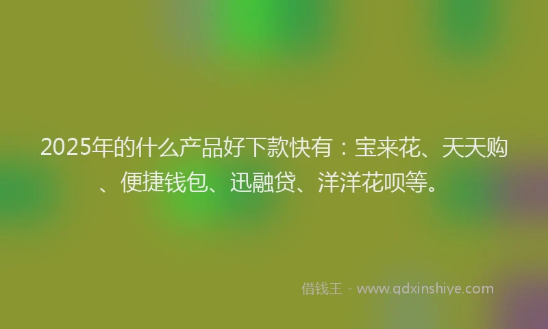 2025年的什么产品好下款快有：宝来花、天天购、便捷钱包、迅融贷、洋洋花呗等。