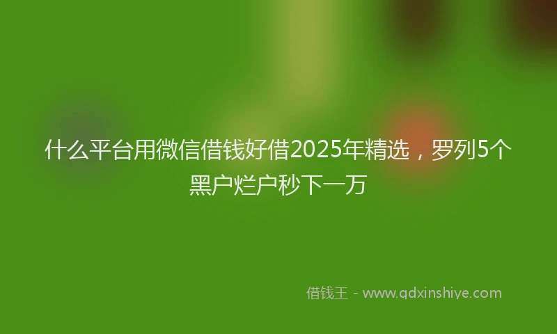 什么平台用微信借钱好借2025年精选，罗列5个黑户烂户秒下一万