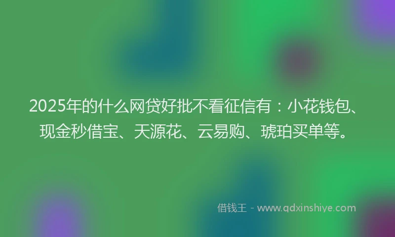 2025年的什么网贷好批不看征信有：小花钱包、现金秒借宝、天源花、云易购、琥珀买单等。
