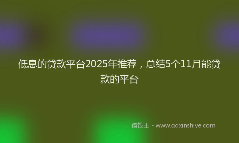 低息的贷款平台2025年推荐，总结5个11月能贷款的平台