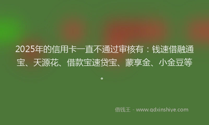 2025年的信用卡一直不通过审核有：钱速借融通宝、天源花、借款宝速贷宝、蒙享金、小金豆等。