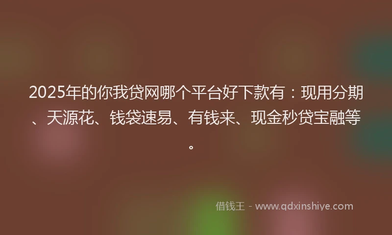 2025年的你我贷网哪个平台好下款有：现用分期、天源花、钱袋速易、有钱来、现金秒贷宝融等。