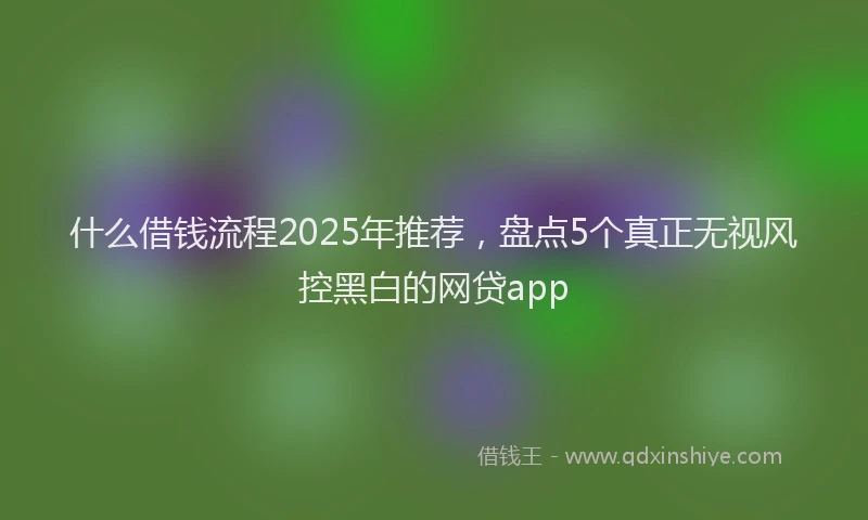 什么借钱流程2025年推荐，盘点5个真正无视风控黑白的网贷app