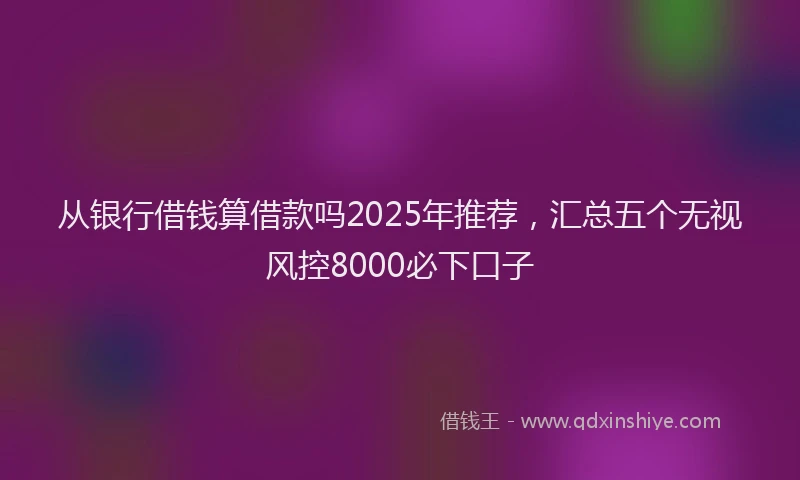 从银行借钱算借款吗2025年推荐，汇总五个无视风控8000必下口子