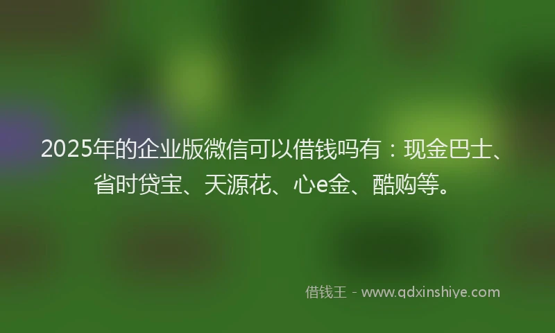 2025年的企业版微信可以借钱吗有：现金巴士、省时贷宝、天源花、心e金、酷购等。