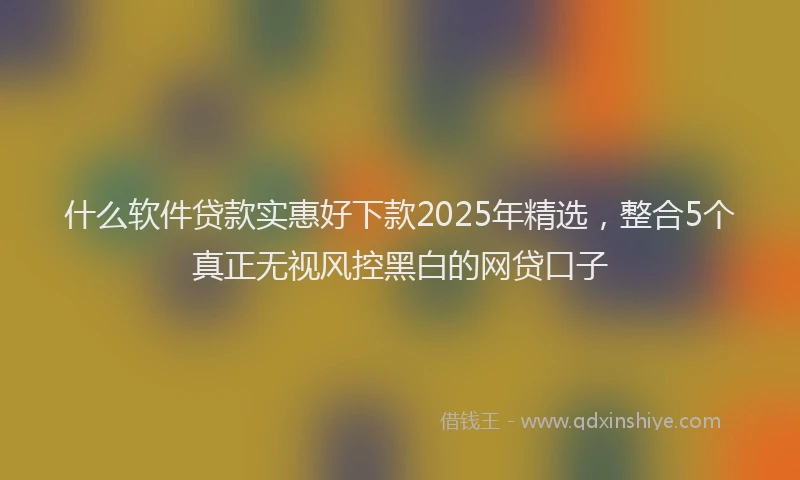什么软件贷款实惠好下款2025年精选，整合5个真正无视风控黑白的网贷口子