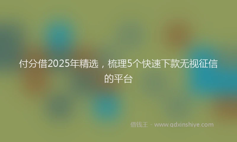 付分借2025年精选，梳理5个快速下款无视征信的平台