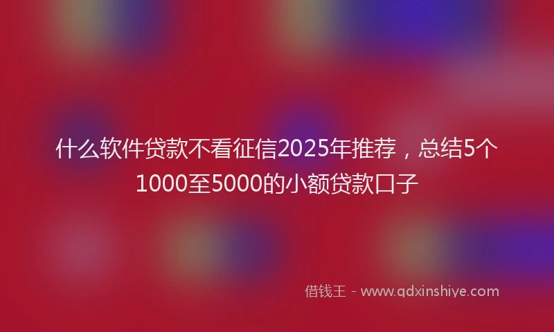 什么软件贷款不看征信2025年推荐，总结5个1000至5000的小额贷款口子