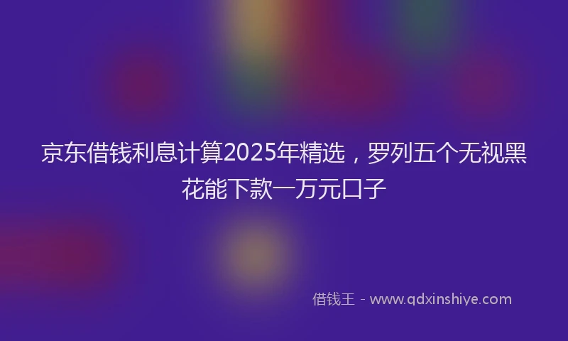 京东借钱利息计算2025年精选，罗列五个无视黑花能下款一万元口子