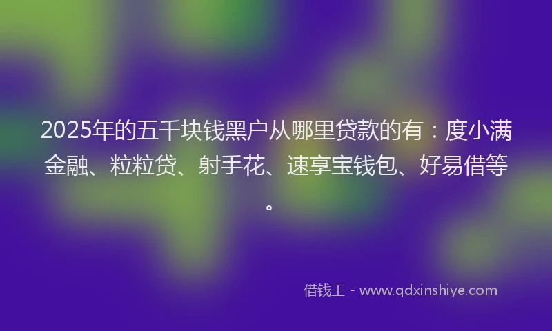 2025年的五千块钱黑户从哪里贷款的有：度小满金融、粒粒贷、射手花、速享宝钱包、好易借等。