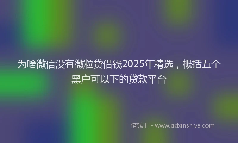 为啥微信没有微粒贷借钱2025年精选，概括五个黑户可以下的贷款平台
