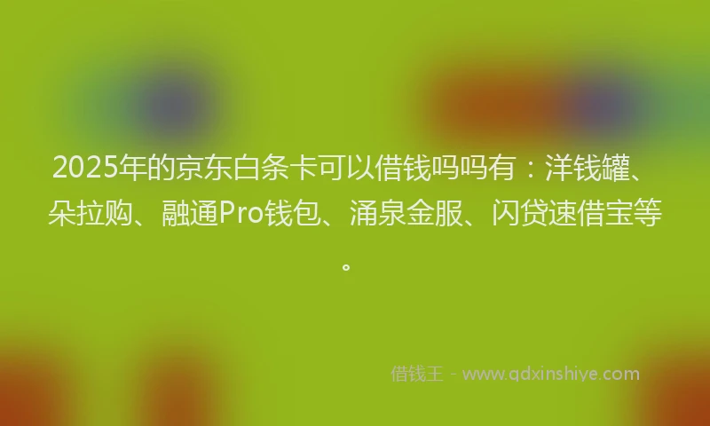 2025年的京东白条卡可以借钱吗吗有:洋钱罐、朵拉购、融通Pro钱包、涌泉金服、闪贷速借宝等。