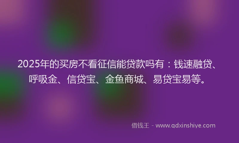2025年的买房不看征信能贷款吗有：钱速融贷、呼吸金、信贷宝、金鱼商城、易贷宝易等。