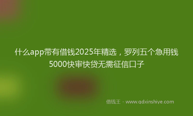 什么app带有借钱2025年精选，罗列五个急用钱5000快审快贷无需征信口子