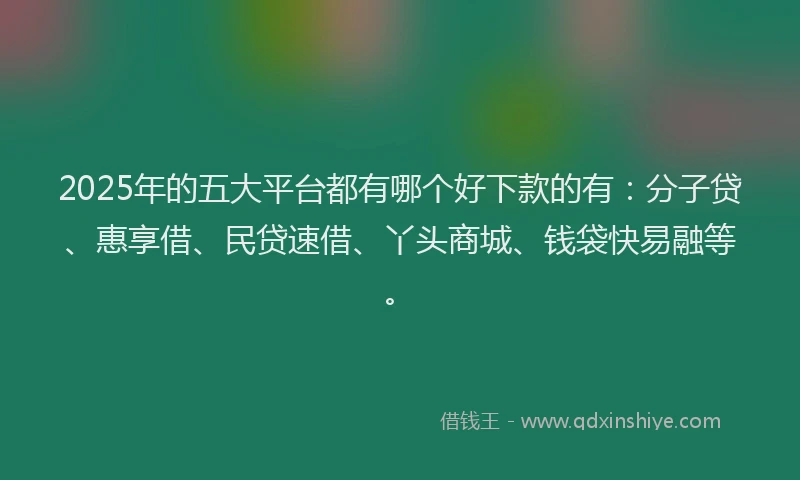 2025年的五大平台都有哪个好下款的有：分子贷、惠享借、民贷速借、丫头商城、钱袋快易融等。