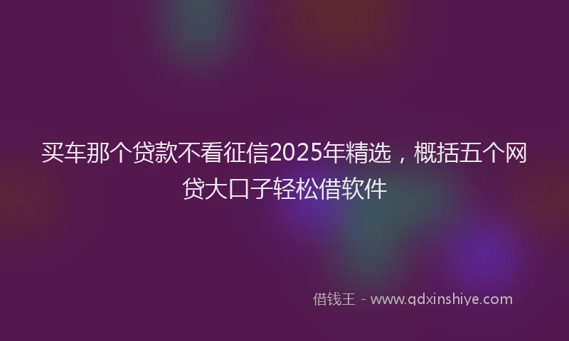 买车那个贷款不看征信2025年精选，概括五个网贷大口子轻松借软件