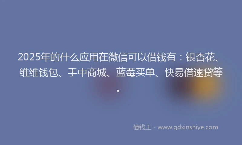 2025年的什么应用在微信可以借钱有：银杏花、维维钱包、手中商城、蓝莓买单、快易借速贷等。
