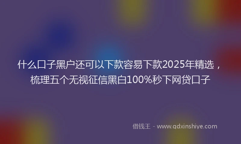 什么口子黑户还可以下款容易下款2025年精选，梳理五个无视征信黑白100%秒下网贷口子