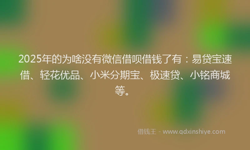 2025年的为啥没有微信借呗借钱了有:易贷宝速借、轻花优品、小米分期宝、极速贷、小铭商城等。