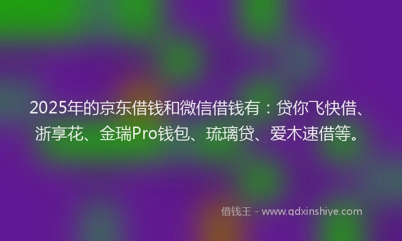 2025年的京东借钱和微信借钱有：贷你飞快借、浙享花、金瑞Pro钱包、琉璃贷、爱木速借等。