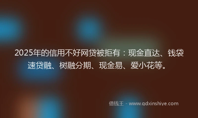 2025年的信用不好网贷被拒有：现金直达、钱袋速贷融、树融分期、现金易、爱小花等。