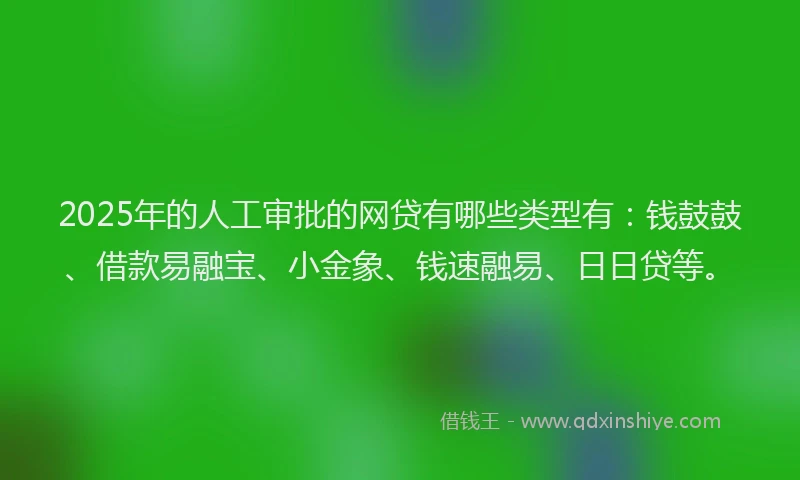 2025年的人工审批的网贷有哪些类型有:钱鼓鼓、借款易融宝、小金象、钱速融易、日日贷等。