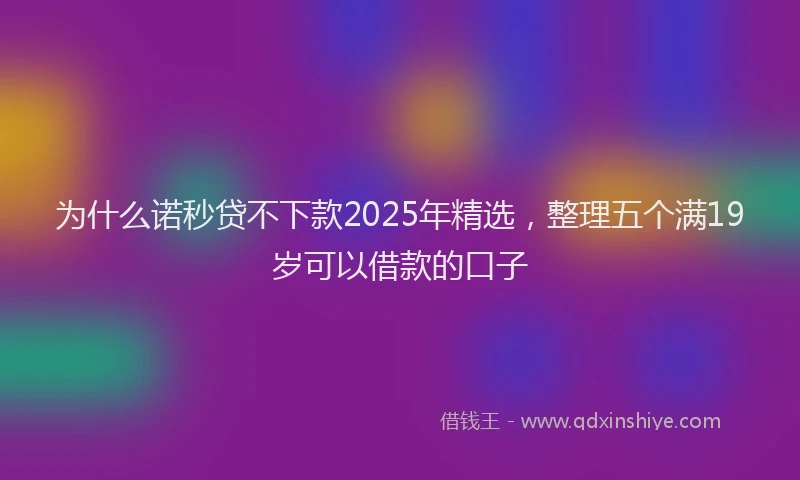 为什么诺秒贷不下款2025年精选，整理五个满19岁可以借款的口子