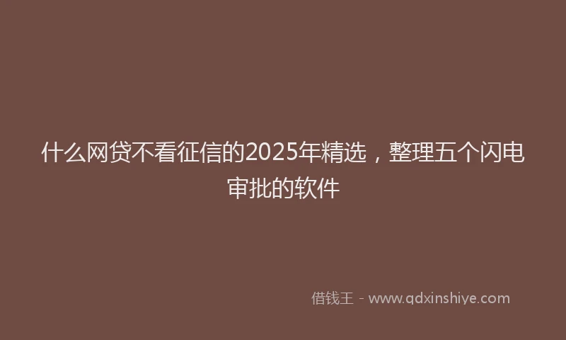什么网贷不看征信的2025年精选，整理五个闪电审批的软件