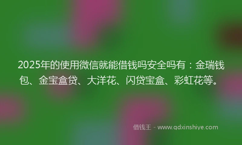 2025年的使用微信就能借钱吗安全吗有：金瑞钱包、金宝盒贷、大洋花、闪贷宝盒、彩虹花等。