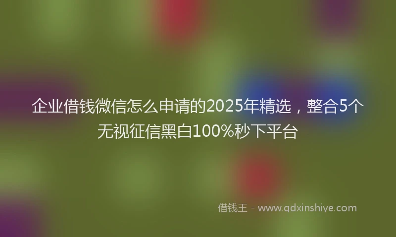 企业借钱微信怎么申请的2025年精选,整合5个无视征信黑白100%秒下平台