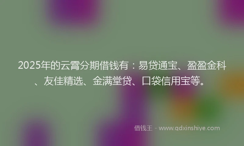 2025年的云霄分期借钱有：易贷通宝、盈盈金科、友佳精选、金满堂贷、口袋信用宝等。