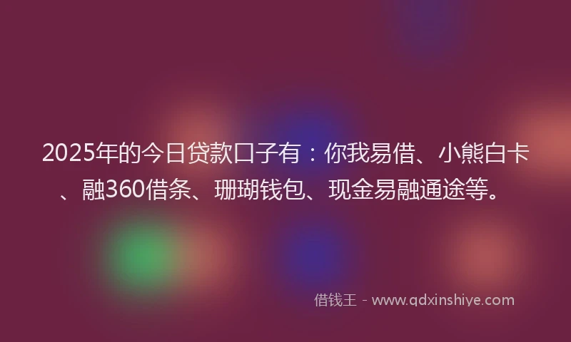 2025年的今日贷款口子有：你我易借、小熊白卡、融360借条、珊瑚钱包、现金易融通途等。