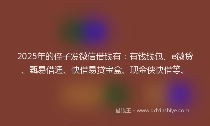 2025年的侄子发微信借钱有：有钱钱包、e微贷、甄易借通、快借易贷宝盒、现金侠快借等。
