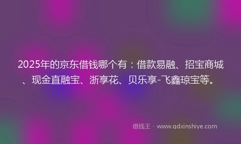 2025年的京东借钱哪个有:借款易融、招宝商城、现金直融宝、浙享花、贝乐享-飞鑫琼宝等。