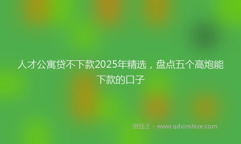 人才公寓贷不下款2025年精选，盘点五个高炮能下款的口子