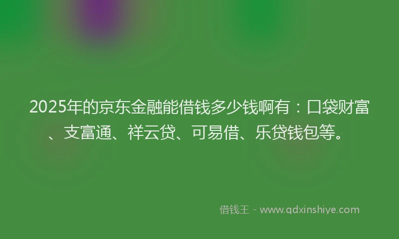 2025年的京东金融能借钱多少钱啊有:口袋财富、支富通、祥云贷、可易借、乐贷钱包等。