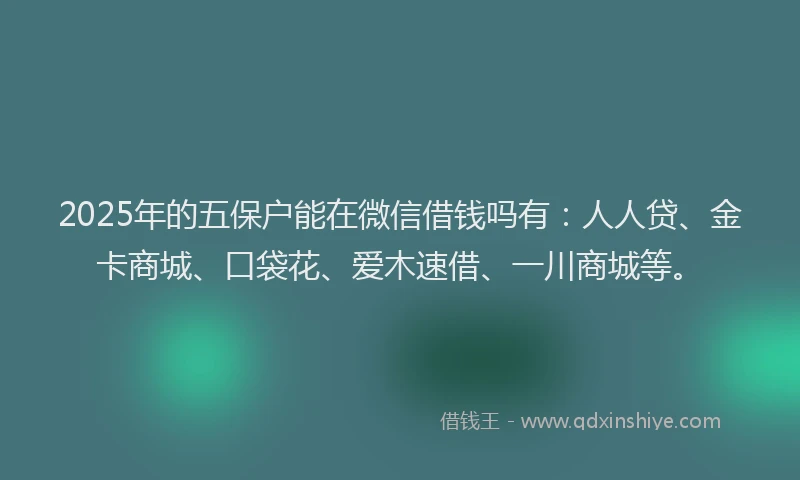 2025年的五保户能在微信借钱吗有：人人贷、金卡商城、口袋花、爱木速借、一川商城等。