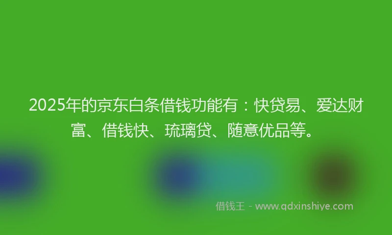 2025年的京东白条借钱功能有：快贷易、爱达财富、借钱快、琉璃贷、随意优品等。