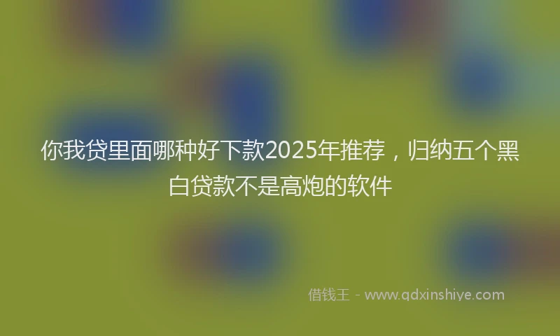 你我贷里面哪种好下款2025年推荐，归纳五个黑白贷款不是高炮的软件